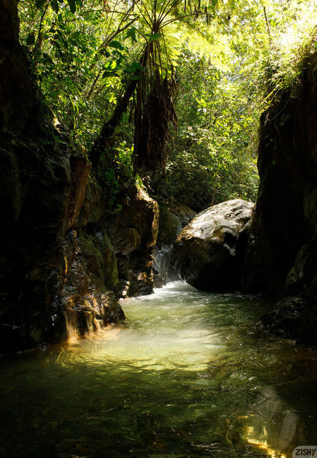 Ileana Burgos Nacktbilder von OnlyFans