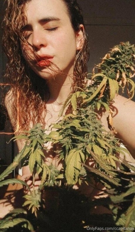 ccapitanax OnlyFans Leak