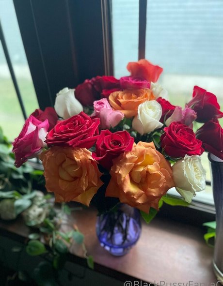 bpftcfree Heiße OnlyFans Inhalte