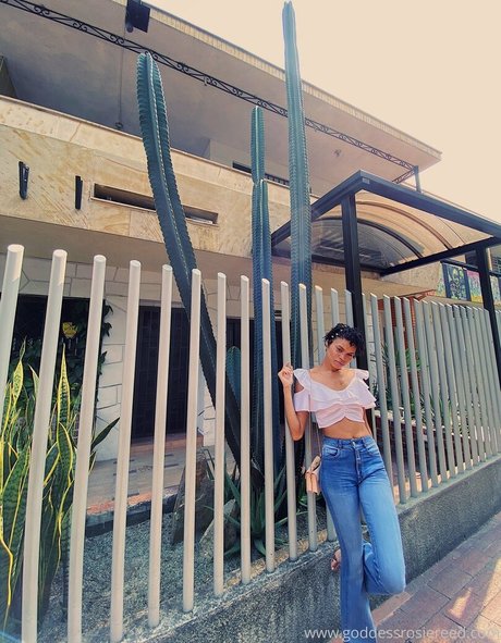 goddessrosiereed OnlyFans