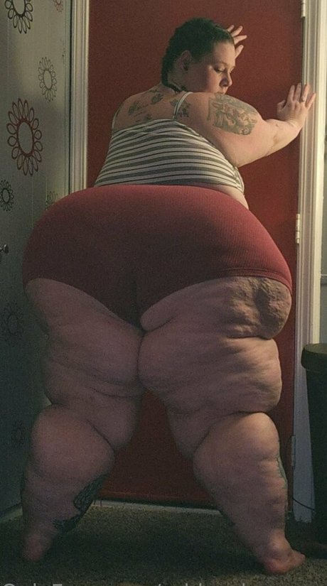 ssbbwshannonmarie OnlyFans XXX