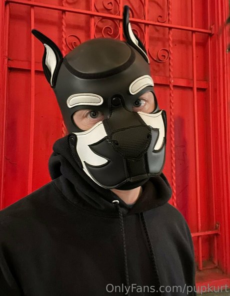 pupkurt OnlyFans