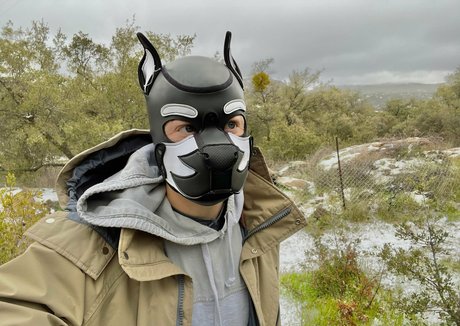 pupkurt Bilder OnlyFans