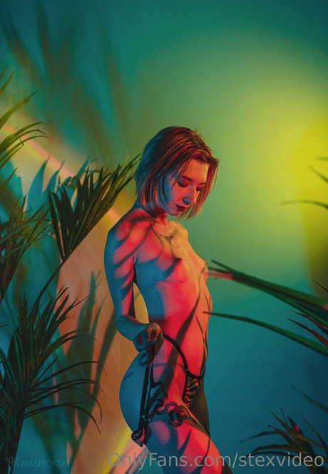 stexvideo Leak von OnlyFans-Inhalten