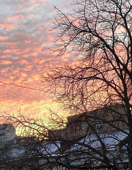 cherrykush6 OnlyFans-Creator