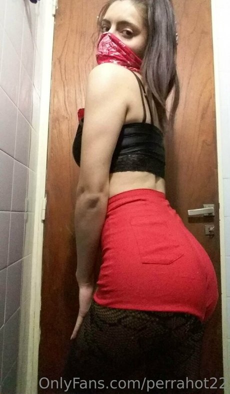 perrahot22 OnlyFans Nacktbilder
