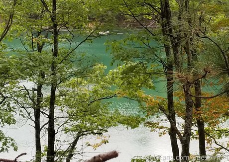 gingerhippie74 OnlyFans Sex Leak