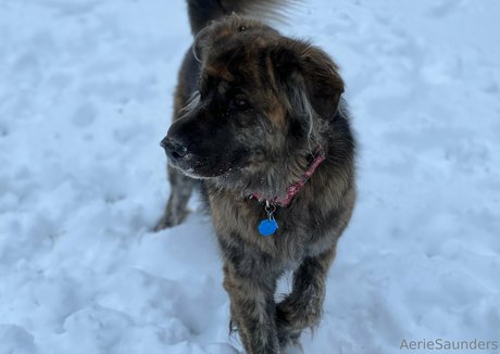 aeriesaunders OnlyFans Nackt Leaks