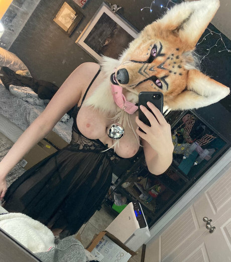 LividPuppy Profilbild