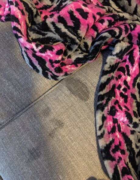 ashlynn212 Nacktbilder von OnlyFans