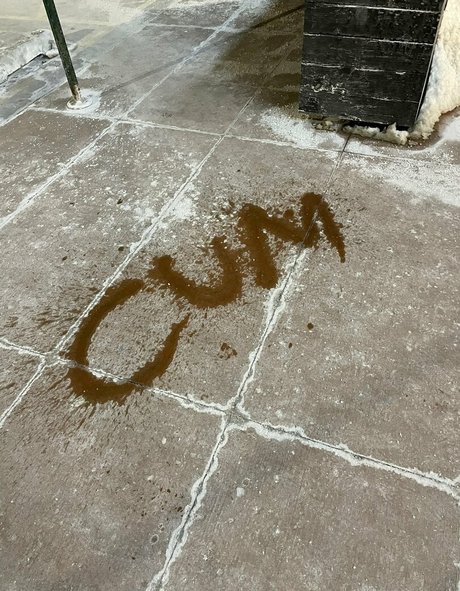 thenymphonextdoor OnlyFans gratis