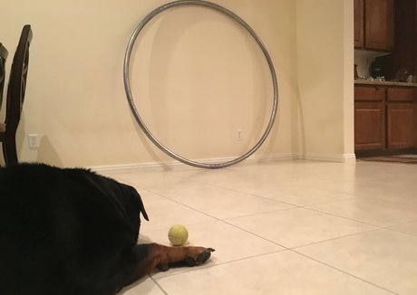 vanessablue OnlyFans kostenlos