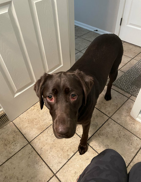 doubledboatgirl vip NurlyFans-Pornoleaks