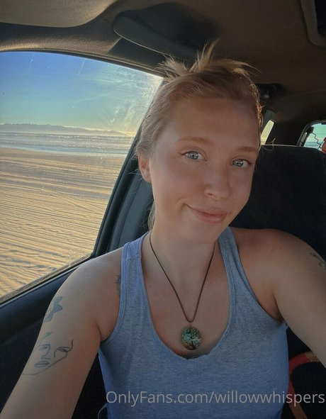 willowwhispers Strip OnlyFans