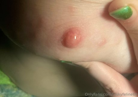 friskyfeline69 Gratis OnlyFans