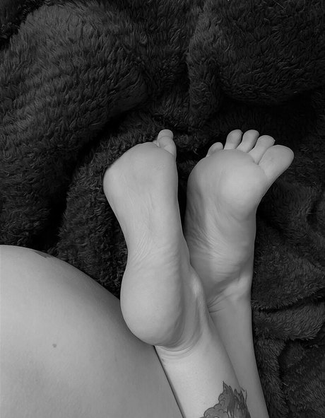 violets cabaret Profilbild