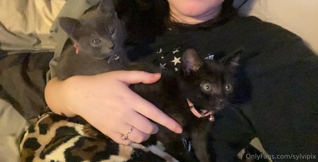 sylvipix OnlyFans Sex