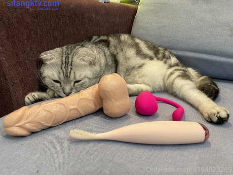 bella 420tw OnlyFans geleakt