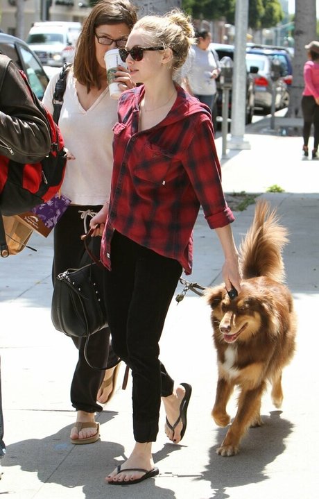 Amanda Seyfried OnlyFans Gratis-Inhalte