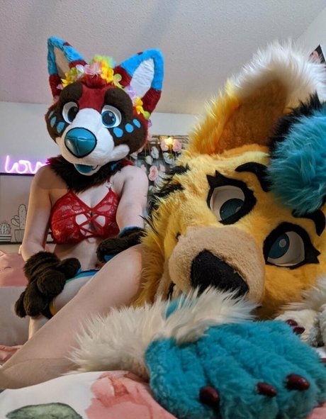 voan zonead Profilbild