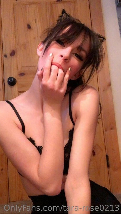 tara rose0213 OnlyFans-Archiv