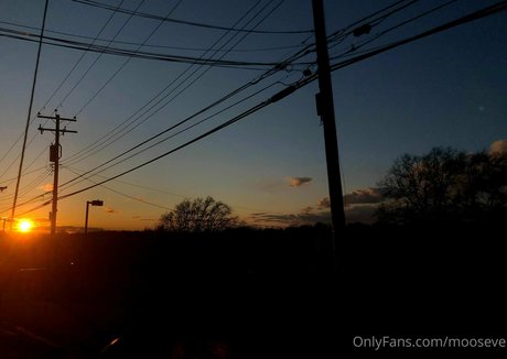 mooseve OnlyFans