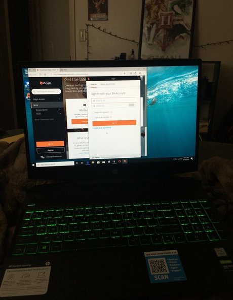 gamerwillow OnlyFans Modelfoto