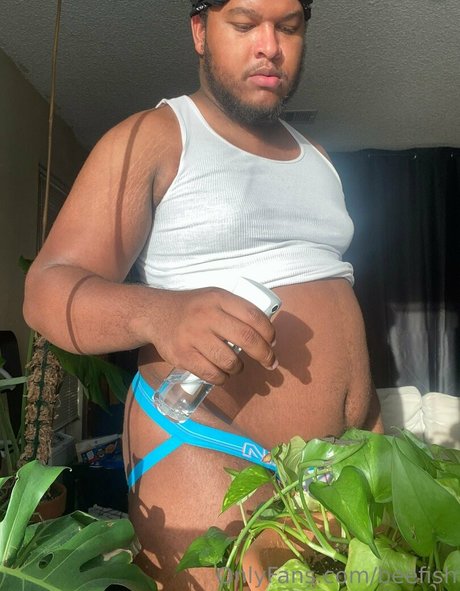 beefish OnlyFans-Archiv