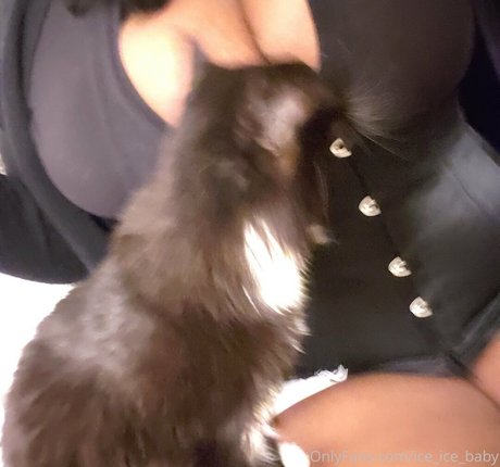 ice ice baby OnlyFans-Leaks