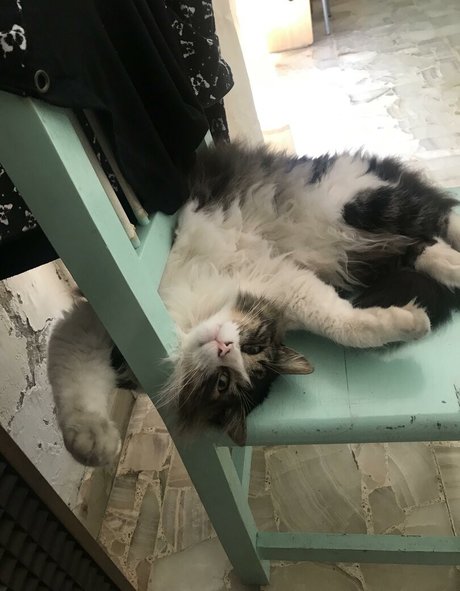 Shashi OnlyFans Nackt Leaks