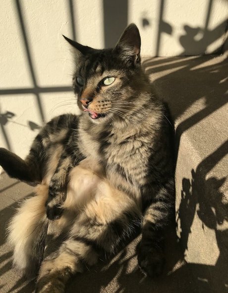 Shashi Oben ohne OnlyFans