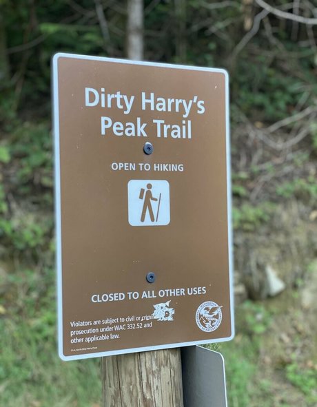 ms adventure XXX Leak OnlyFans