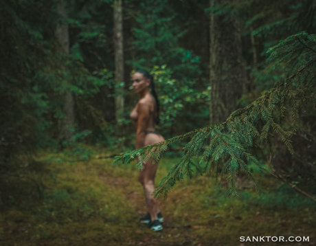 Sanktor OnlyFans Pornografie