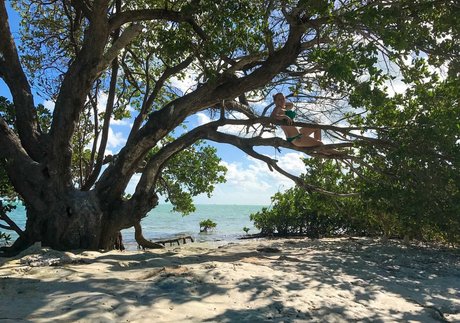 Krisea Marina OnlyFans Pornografie