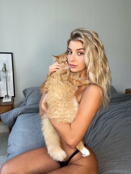 ashleymariedickerson Nacktbilder geleakt OnlyFans Porn geleakt