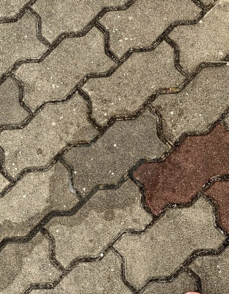 futanari fc2 OnlyFans Leak