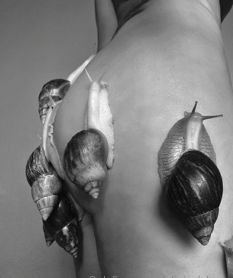 oliviezizkova OnlyFans