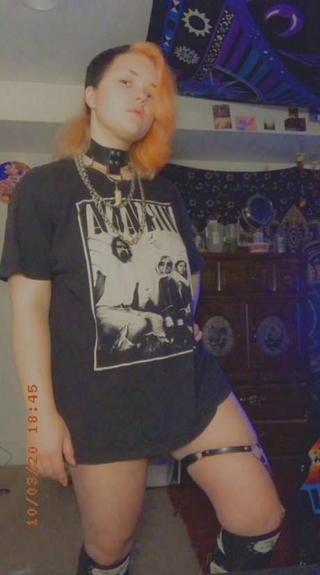 pwuppydove OnlyFans-Archiv