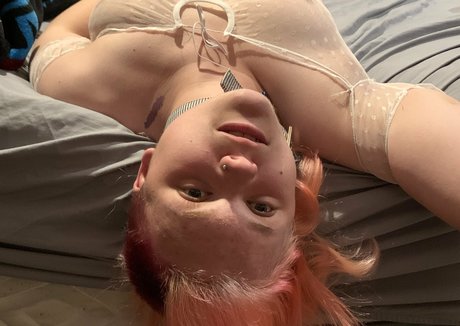 pwuppydove OnlyFans-Bilder