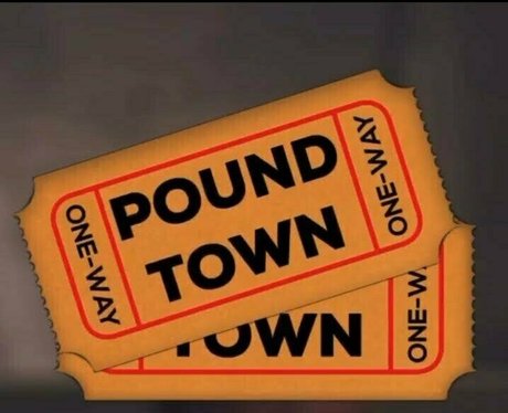 tffnydays2wintarrose OnlyFans nackt