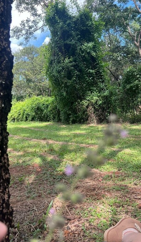 fleivinha OnlyFans-Post