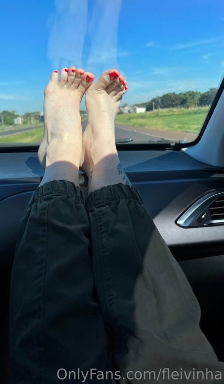 fleivinha OnlyFans Leaks