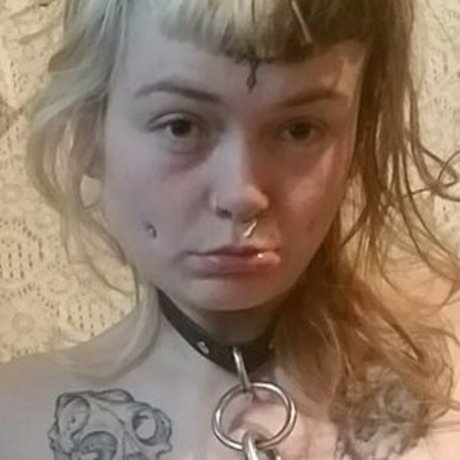 sweethoneybean OnlyFans Leak