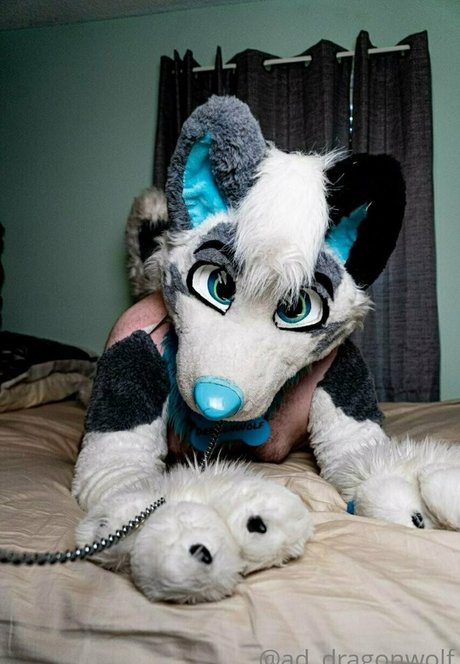 ad dragonwolf OnlyFans-Bilder