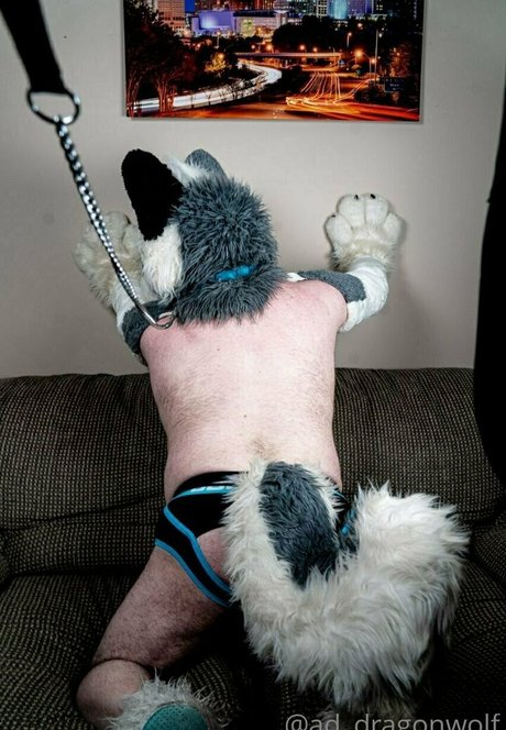 ad dragonwolf OnlyFans Star