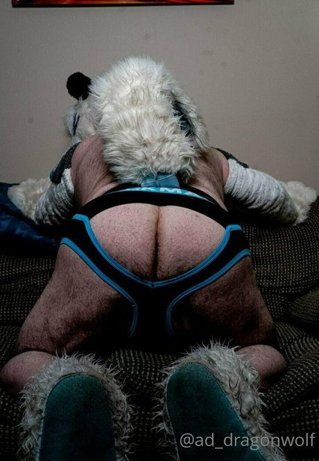 ad dragonwolf Leaked OnlyFans Bilder