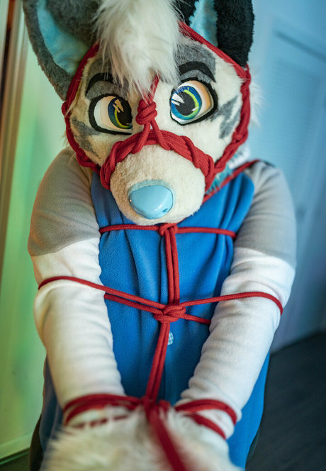 ad dragonwolf OnlyFans-Sex