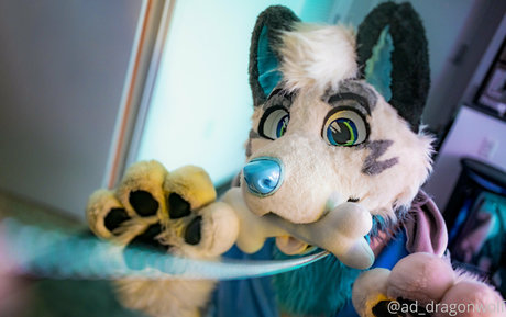 ad dragonwolf OnlyFans Leaks Nacktbilder