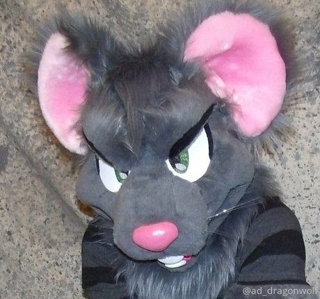 ad dragonwolf OnlyFans kostenlos