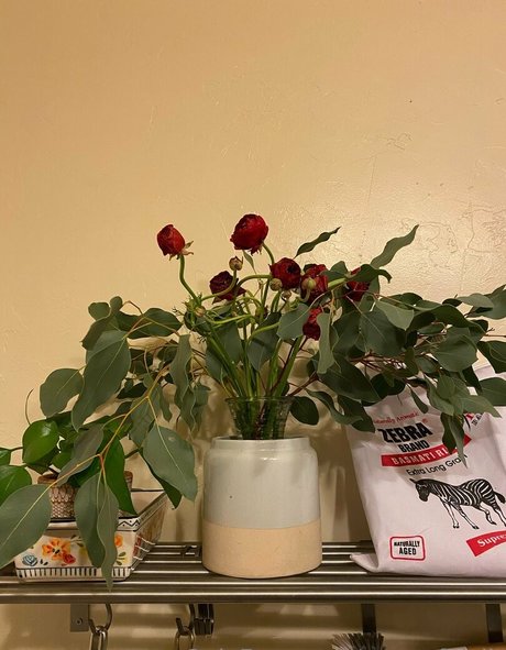 powerfulclit Porn OnlyFans Leak